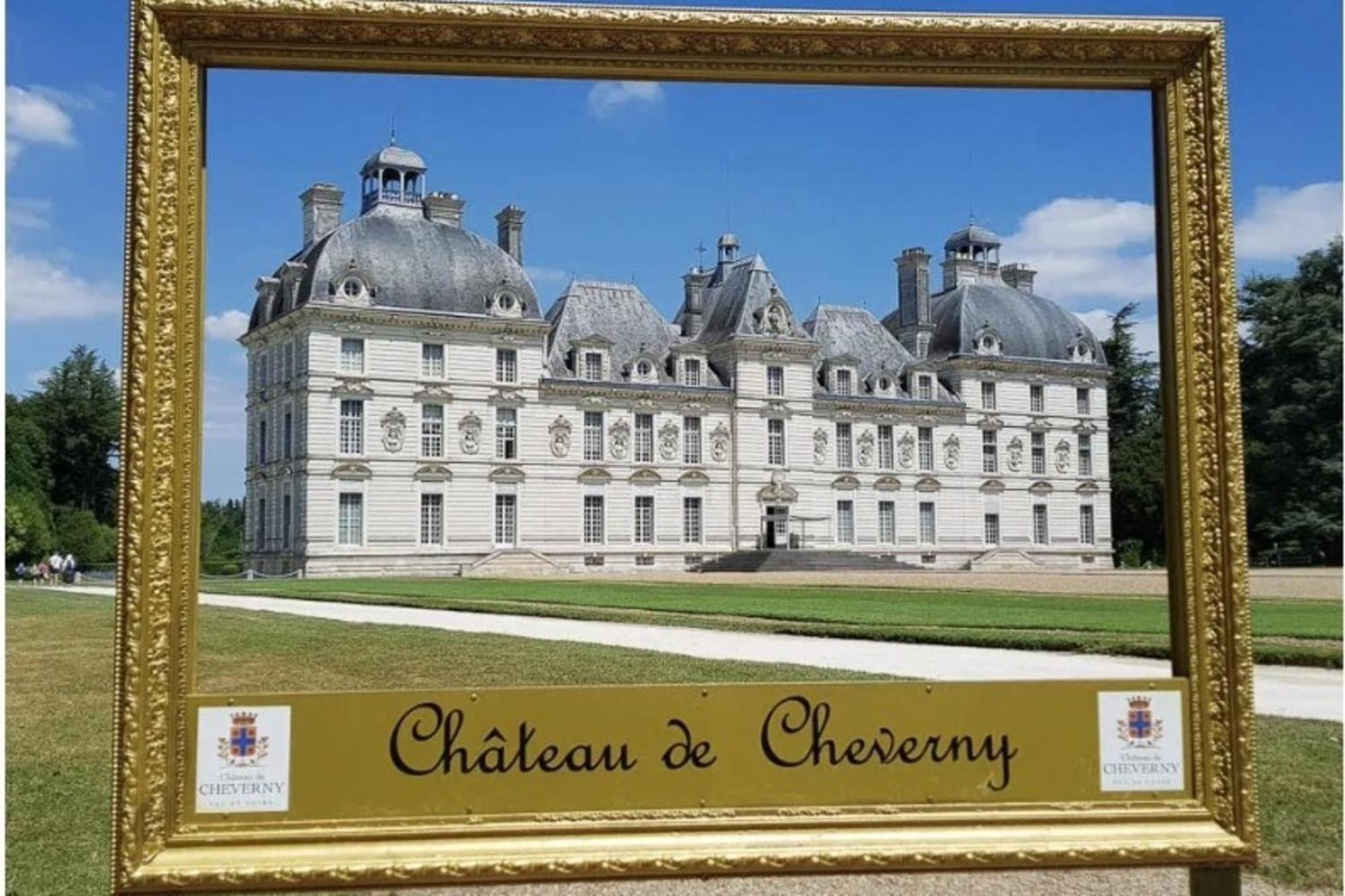 Bel Air Frais Proche Beauval & Chateaux De La Loire Thesee Exterior photo